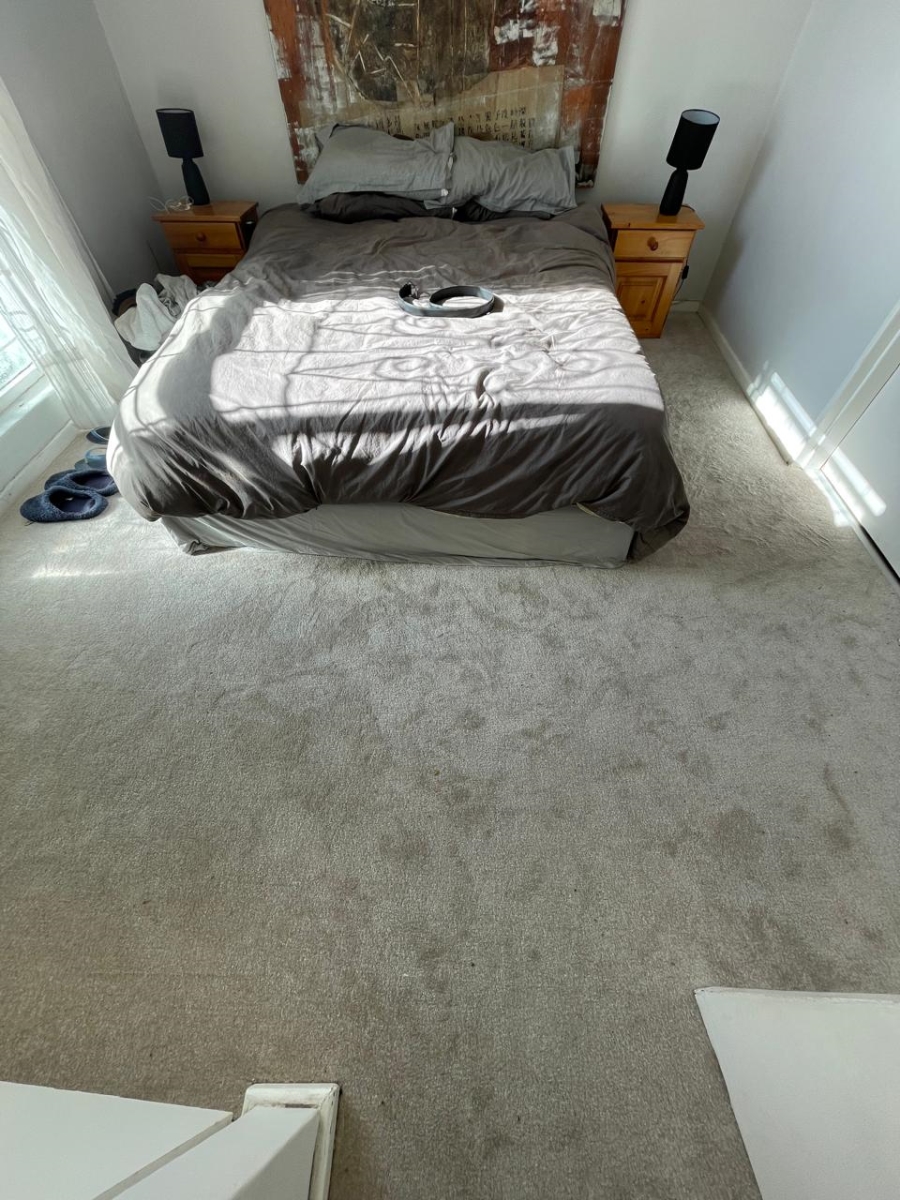To Let 1 Bedroom Property for Rent in Harfield Village Western Cape